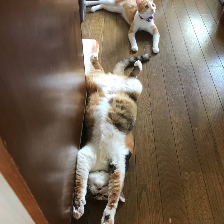 14d1371c 0493 4fe7 861a d050ec4e9e92