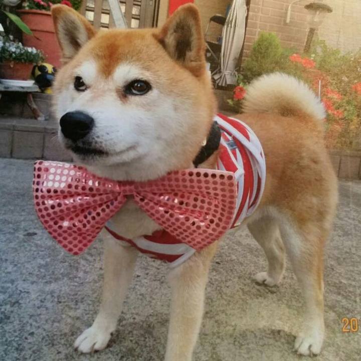 14d16666 e9f4 4ffb 9e8e f0bfb9717f34