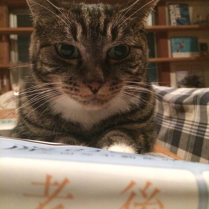 14d1692a dad8 4d17 8a0d f3ea3901397a