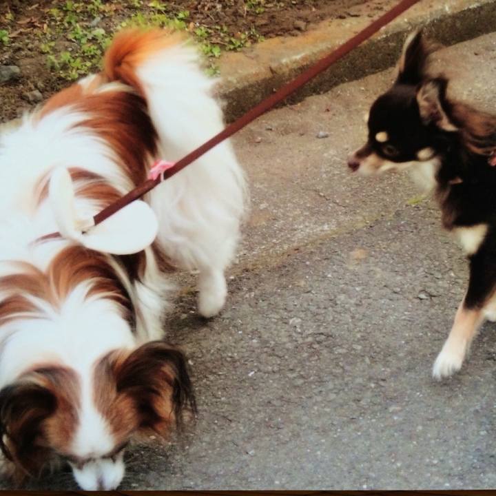 14d1b956 5e3e 45b9 9837 259a732cc48c