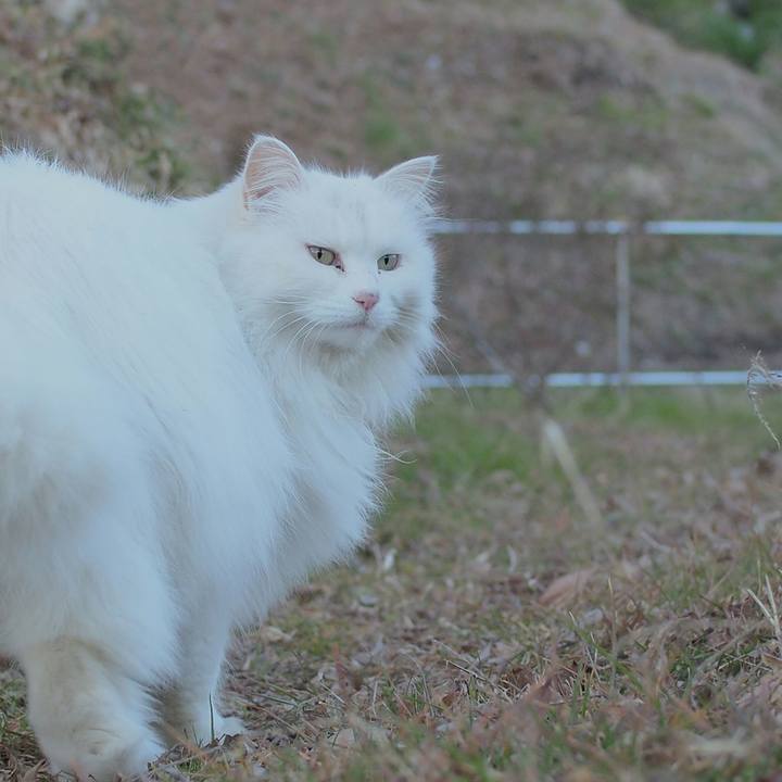 14d28ea1 1c19 4720 9dca 2b4137663d8b