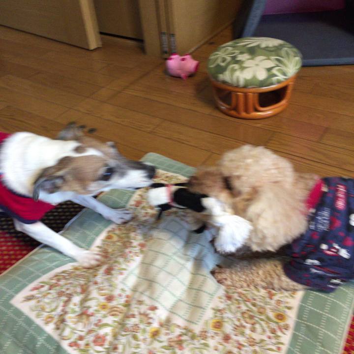 14d2e439 fa5c 46c9 9140 e2c09f49c8fb