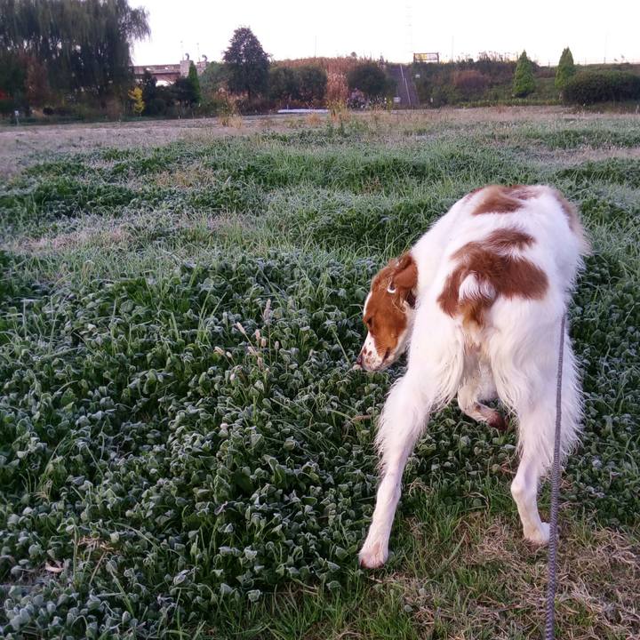 14d32583 98fb 4e88 97cd 19e247a08cd5