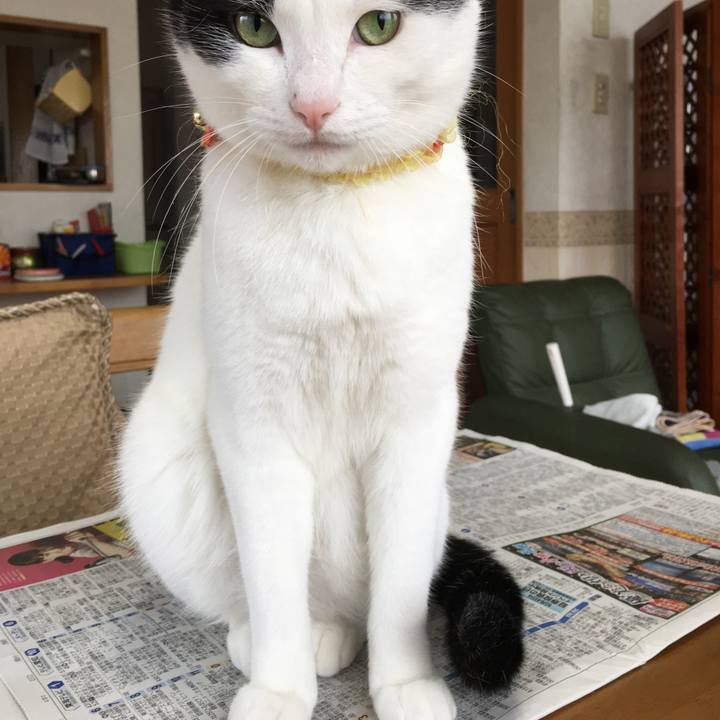 14d3c835 8fe4 4101 8dc9 2d02afae3dc2