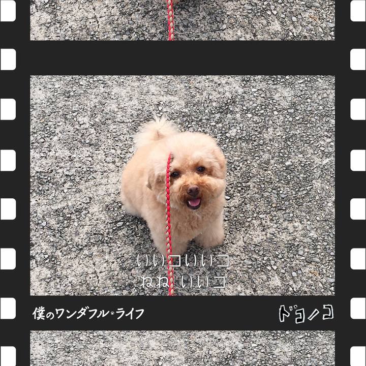 14d3d77e f858 4623 8573 19201e59c259