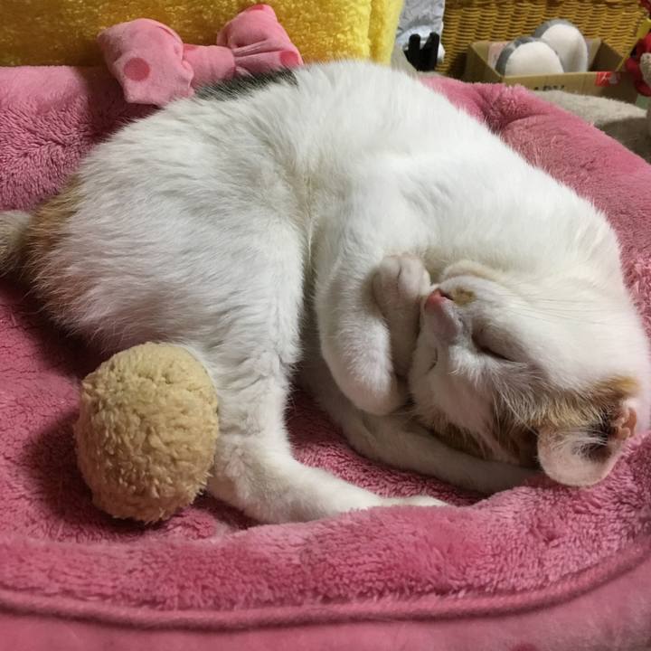 14d41042 2a40 4061 97ca 649e0e33bd5d