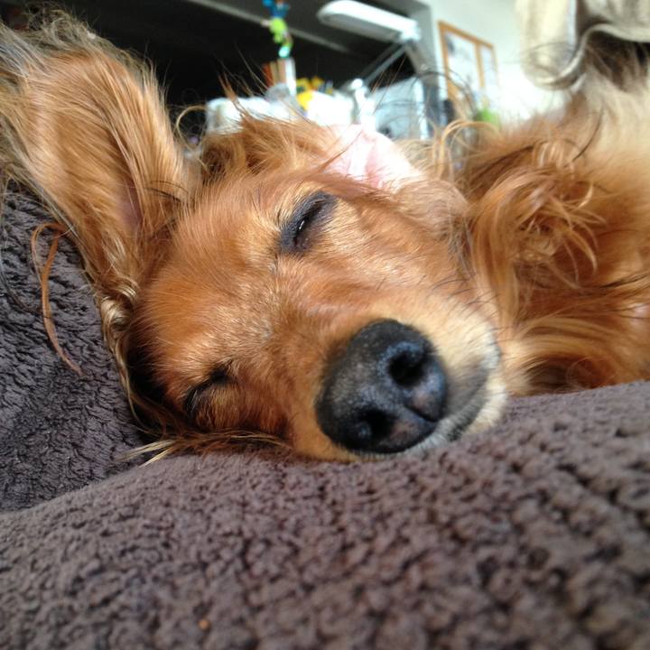 14d4e60b 5501 4a0c b8be 2657e25048a4