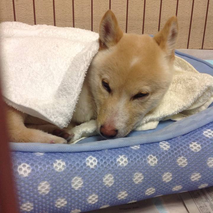 14d5d104 73df 4cd3 ac3a 33761db16190