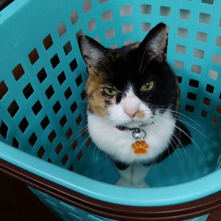 14d5ec9d 0b79 4872 a96a 97fea623e0df