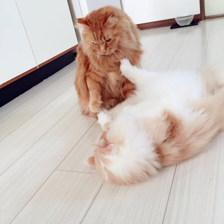 14d61988 bef7 4926 94ff cf88a57a7580