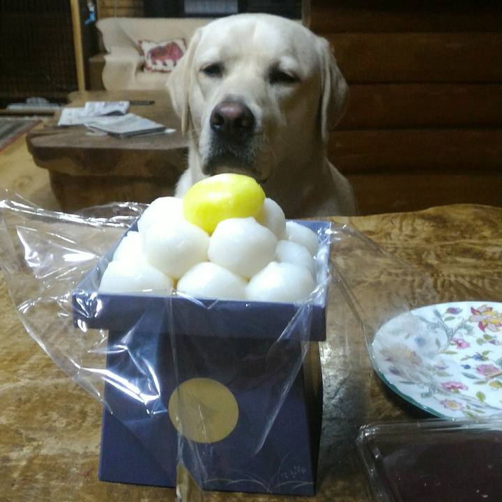 14d63eea 8996 46c6 9433 1e32fa584cab