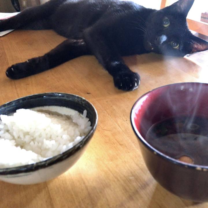 14d678f5 2970 4fa8 8a99 781b29ce82c9