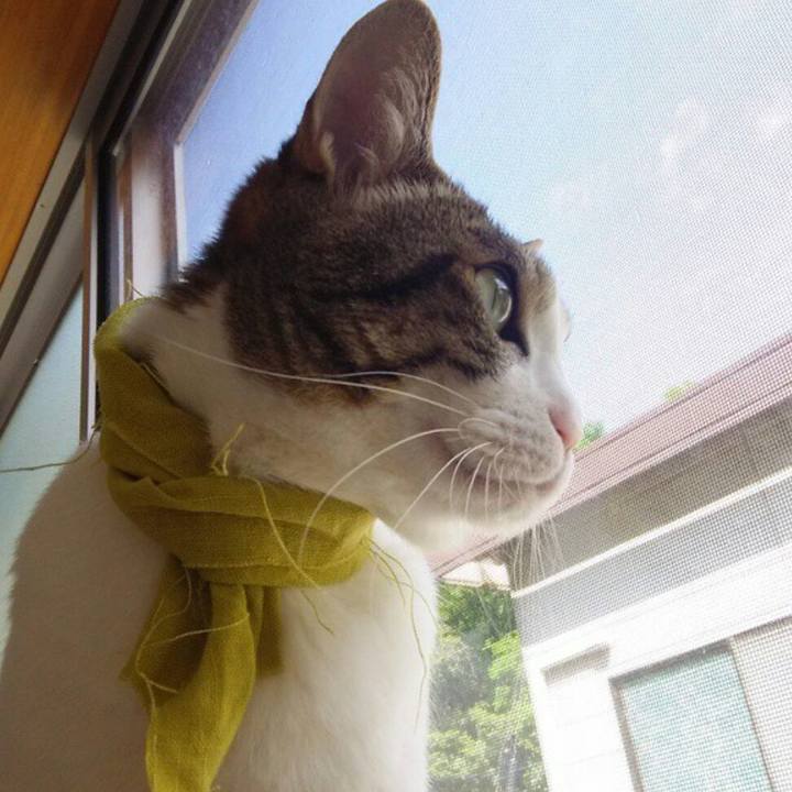 14d70f07 be08 4c03 b19b acd6d6ca0b62