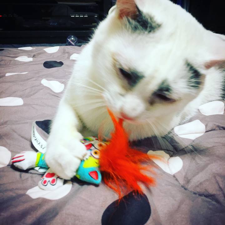 14d76a5c 88ad 4340 903b 45b08df632d1