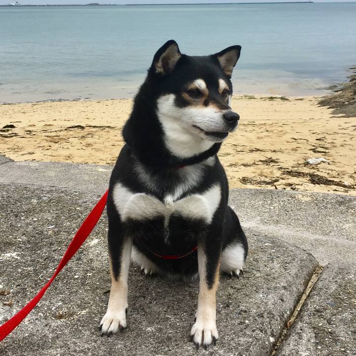 14d7a67d f933 4f48 99f6 d2ae32a5844d