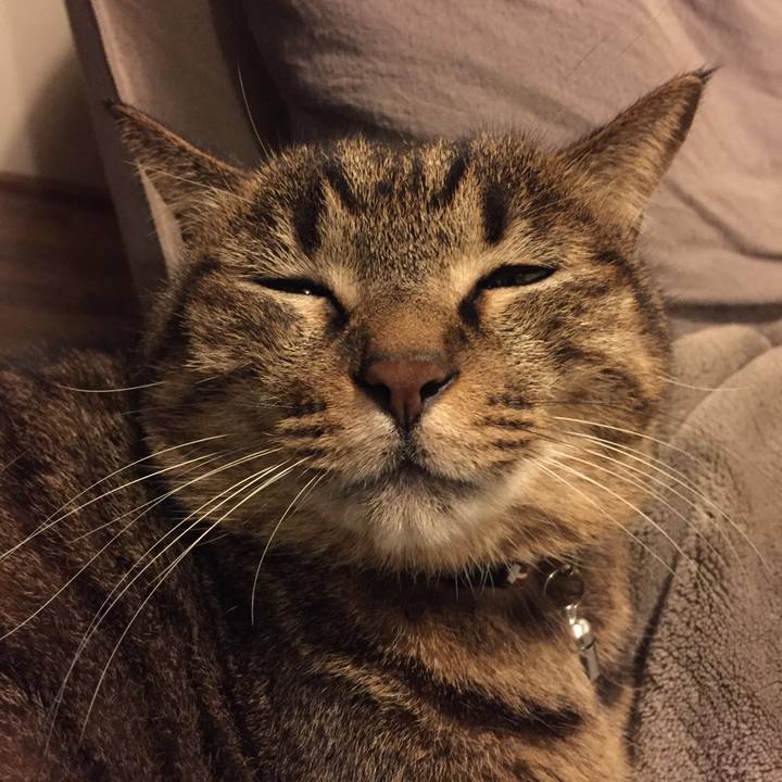 14d7b7fb 8b44 49d0 bf06 6aa411b33b92