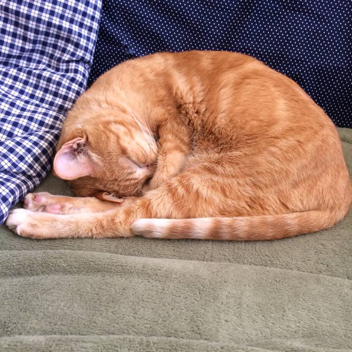 14d7b9f7 98b5 4a5f a46d 5374fe6ad56b