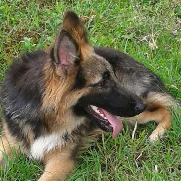 14d7d845 e72a 44cc 832c 0b5f73d78bc1