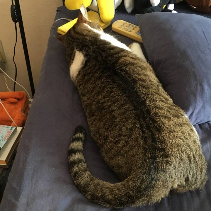 14d85c83 dfed 40c5 8846 89da2a565d36