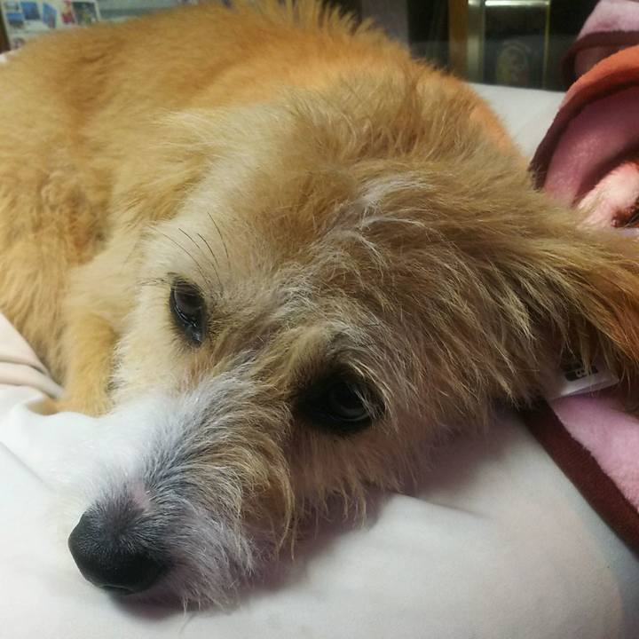 14d95d0e b280 4468 8e7f c9f6c23b77bf