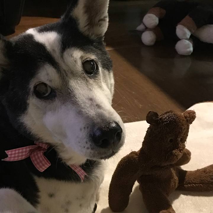 14da773d 808f 4091 bf76 230f05c03b78