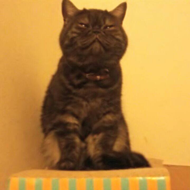 14da9c56 1815 4679 a620 d52f0aa20923