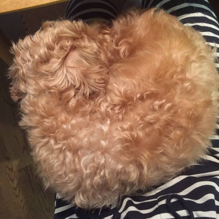 14dad374 d46e 4ebc 8782 d5d8f2b53608