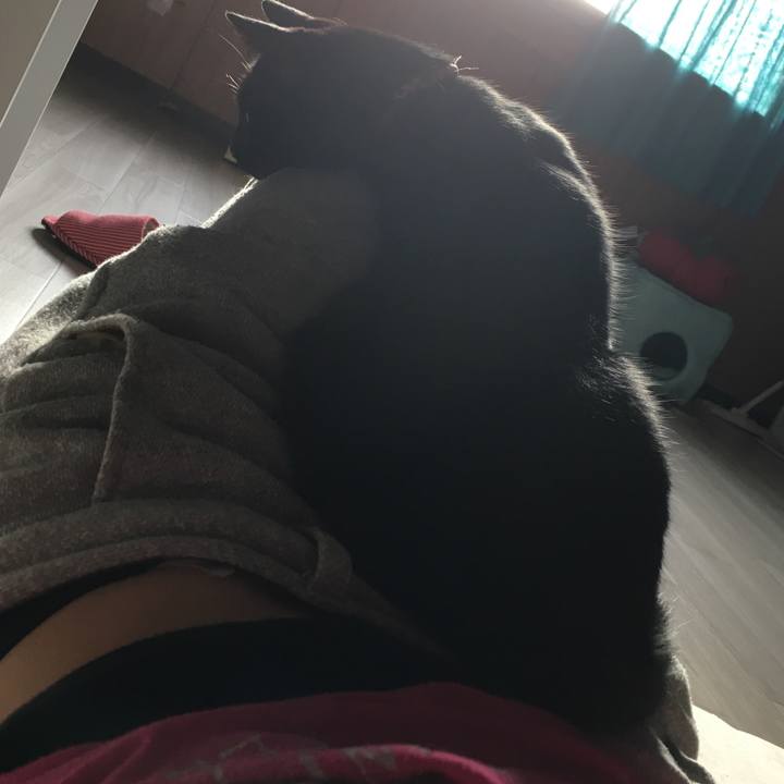 14db066a 9845 4c0b 831a 356e4ae014d5