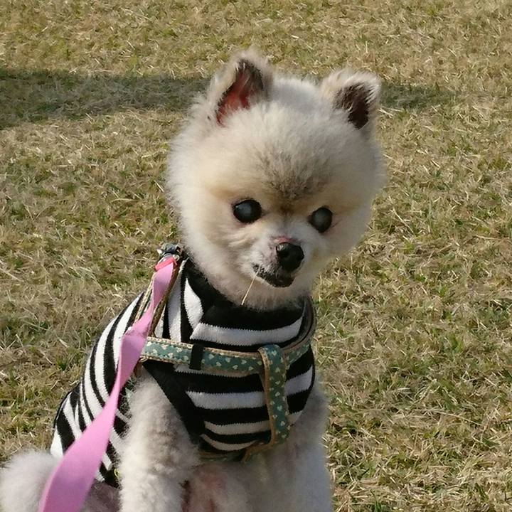 14db14bc d8ce 4c0f a7ba eb03e82fff17