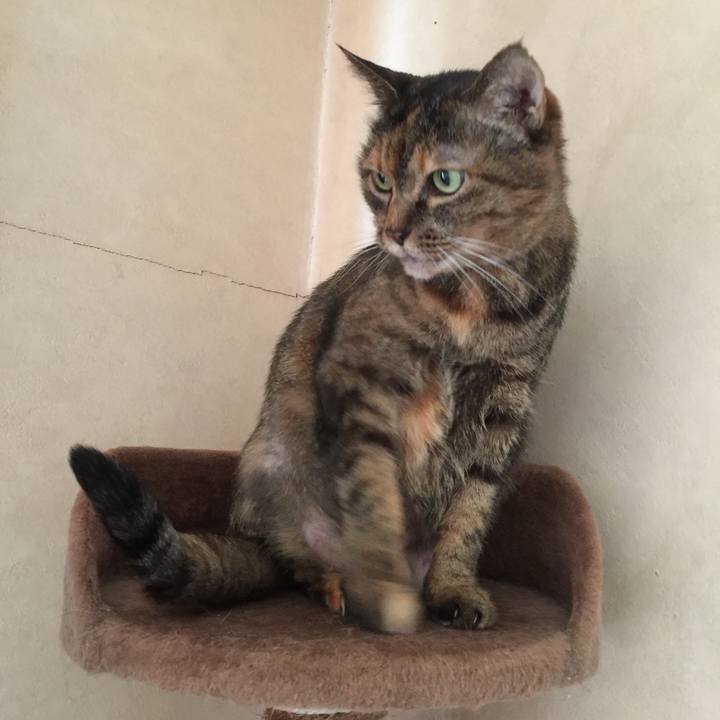 14db2afb 7e76 490e 9631 a4b4d21f6dd1