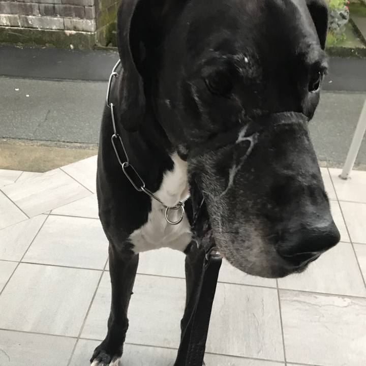 14db6efb 7a32 41aa 97db 9b1ce9801092