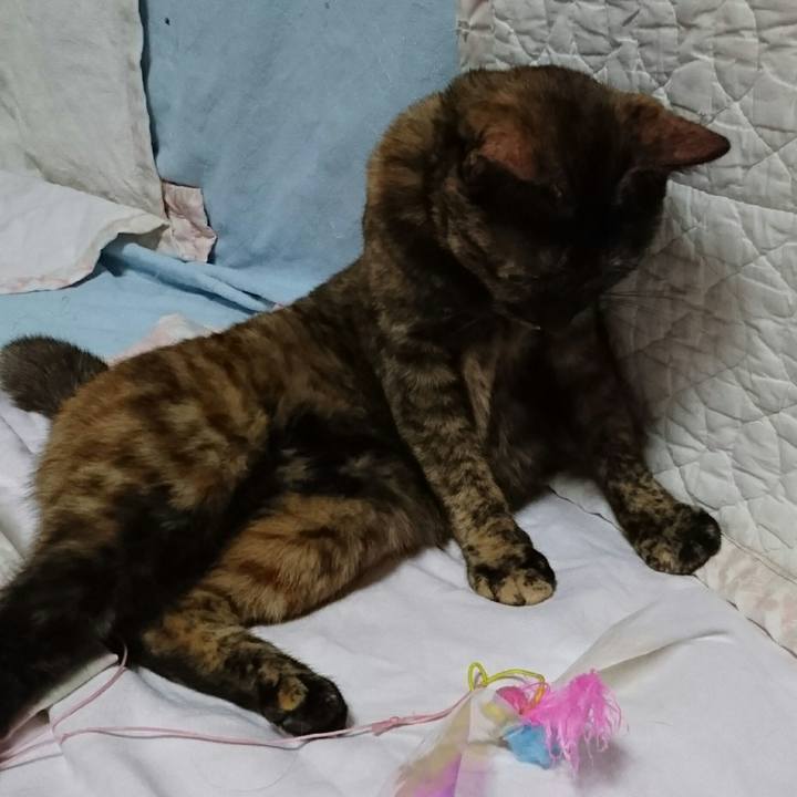 14db7c52 36a2 4005 adf6 785aca025172