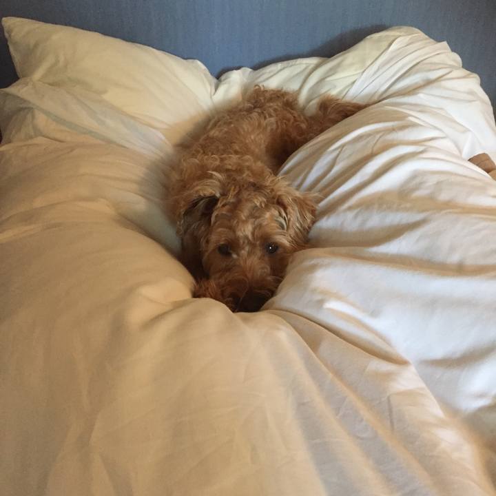 14db8e39 d0f6 44dd a826 19b2d0dc52d9