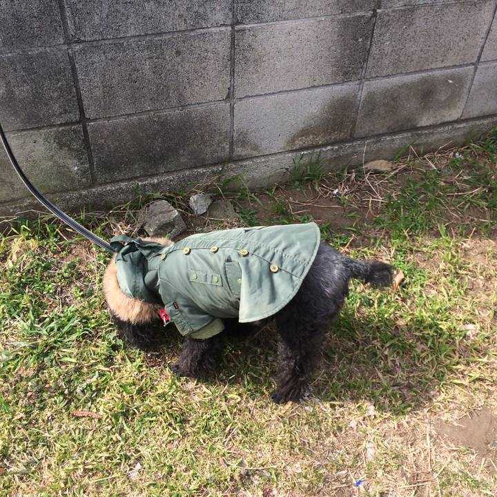 14dc24ac d818 4539 b1fe 5492e305d0f8