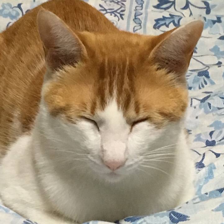 14dc55f3 4005 4e67 bdd4 6bb74c9353f7