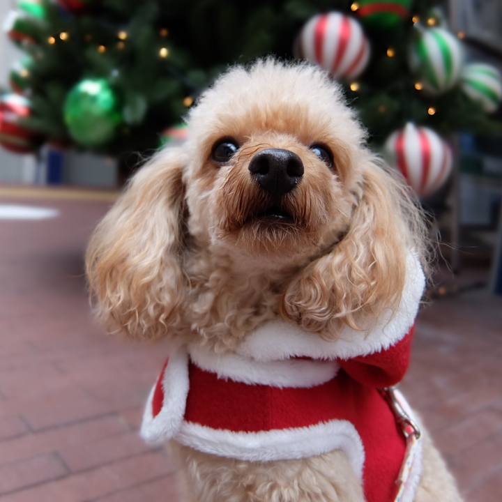 14dccc7a bd04 4de7 bea2 55716ad9f04b