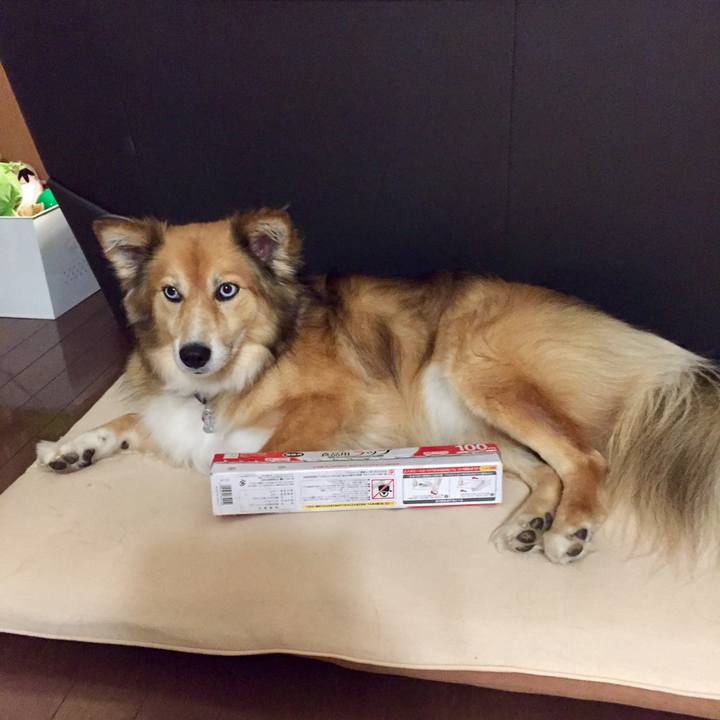 14dd8601 0d67 44b4 a804 8d6dbb43b1e5