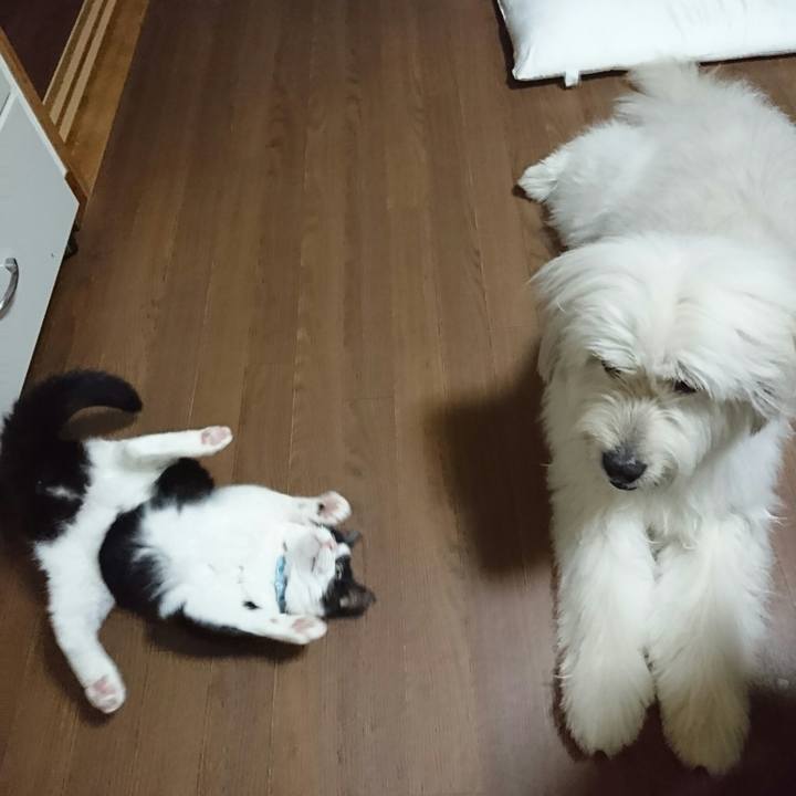 14dda38e 7cfa 487c a4bb 4a870d26a923