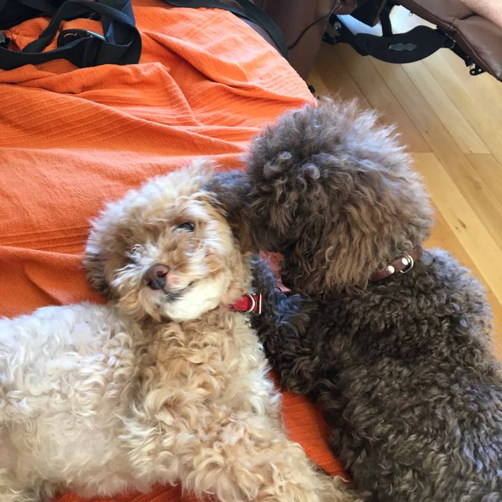 14ddb3a0 e6cf 4745 8bdf 2f8cc2a2e1fb