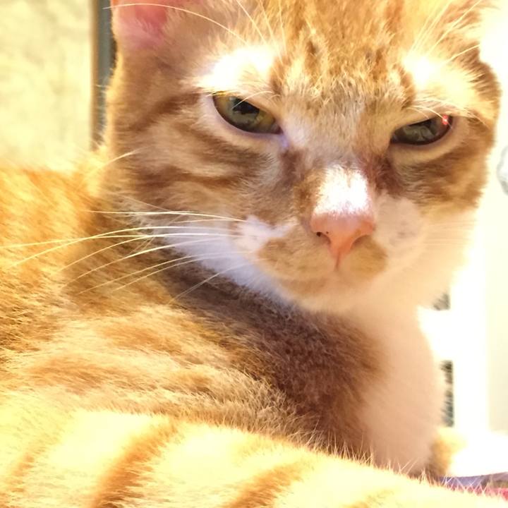 14de241e 5a22 49ff 8f5d ae5f56fd65c3