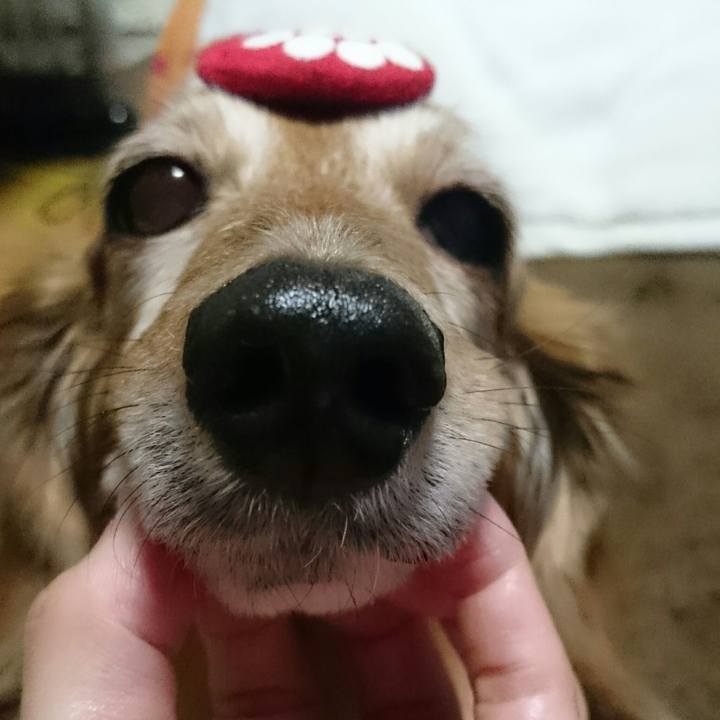 14de3162 0780 41bb a1ba 576062e5ee36