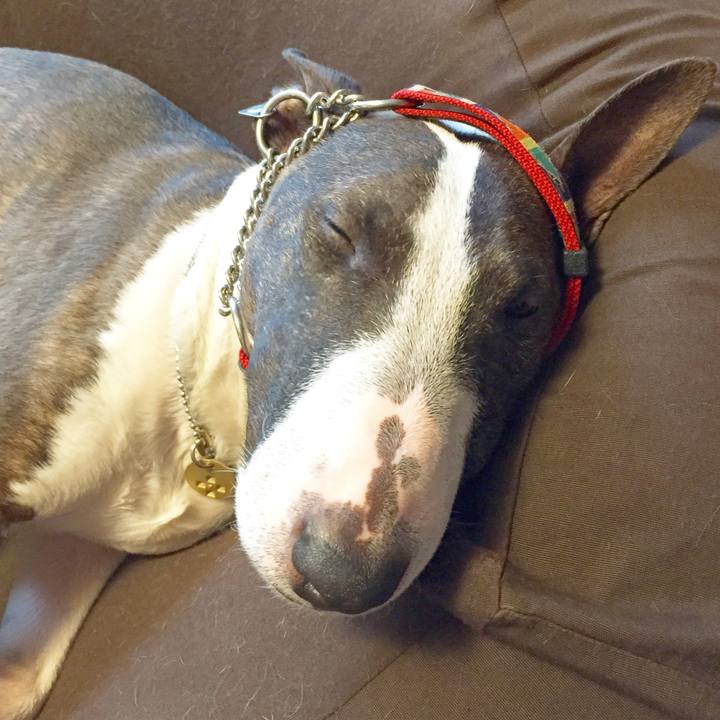 14de3d1d 6399 428a 993d c07f15c29463