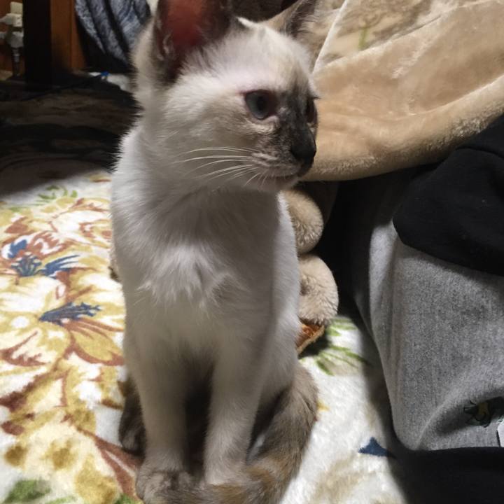 14de504c 11e2 47b0 aada 202623098cf2