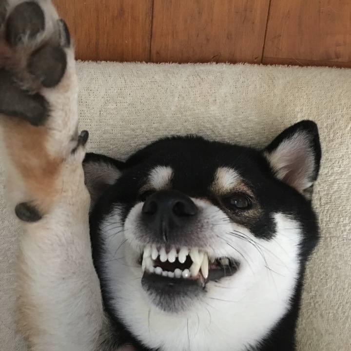 14de656d c182 4e3f b513 8b939b8db848