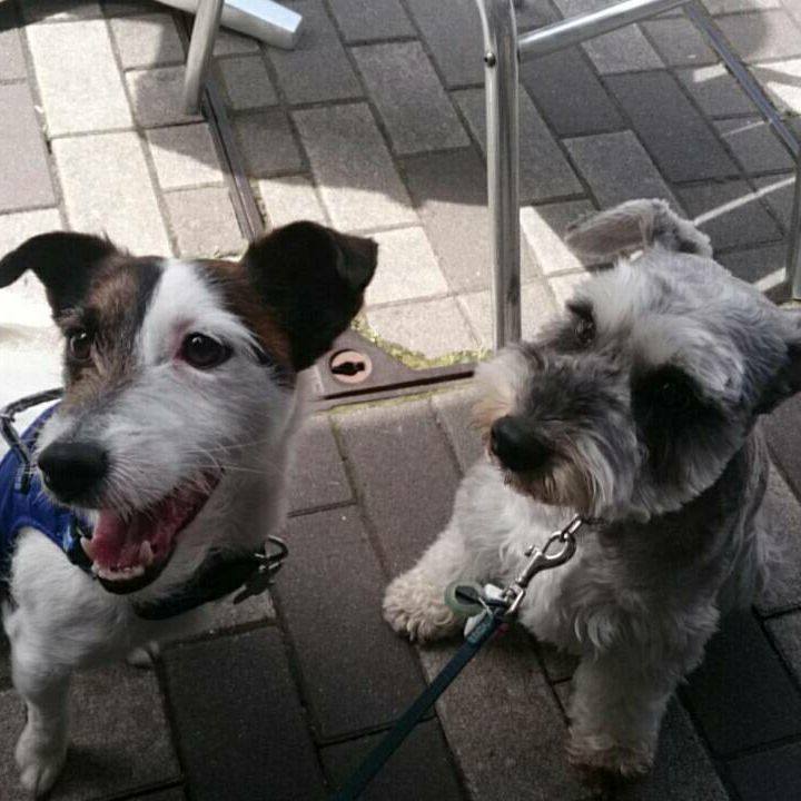 14deb720 e2d6 4544 b1a2 af4e4077b035