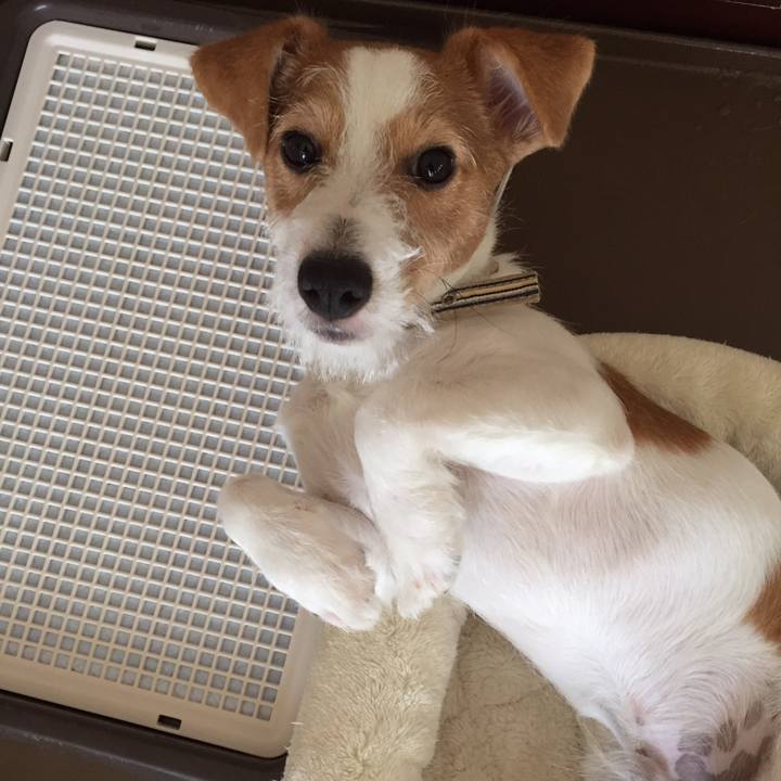 14def05b dffa 4fc8 847c 921cce20b8c7