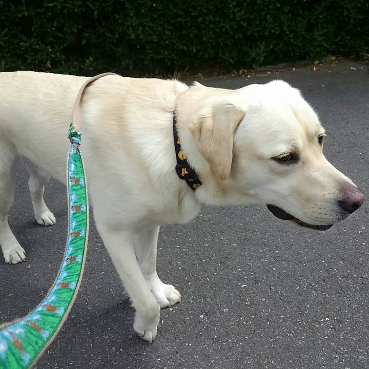 14deffa0 6701 49ee 97aa 114291183fdd