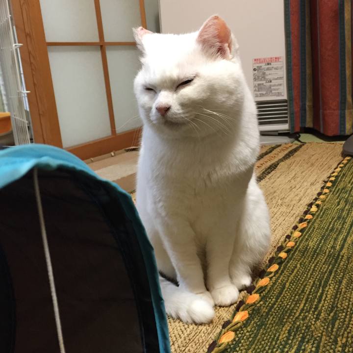 14df5720 7020 4556 8d4c 426b1ee04089