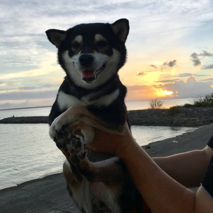 14df66de fe7e 4b9c 92fe c87c0c08fb43