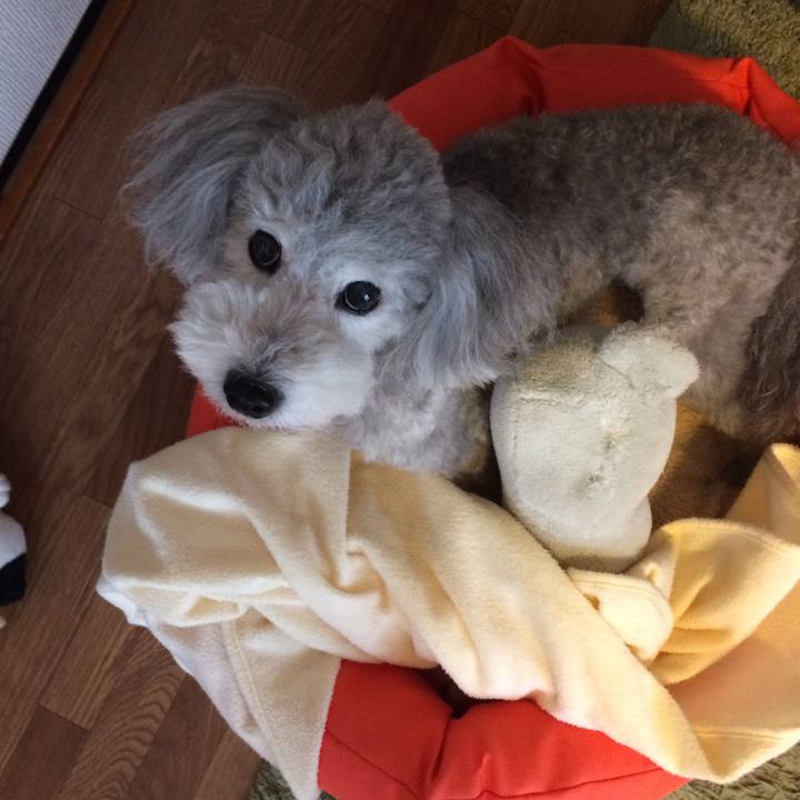 14e05ba1 cb0e 4bc8 ad0a 8e1735a730a5